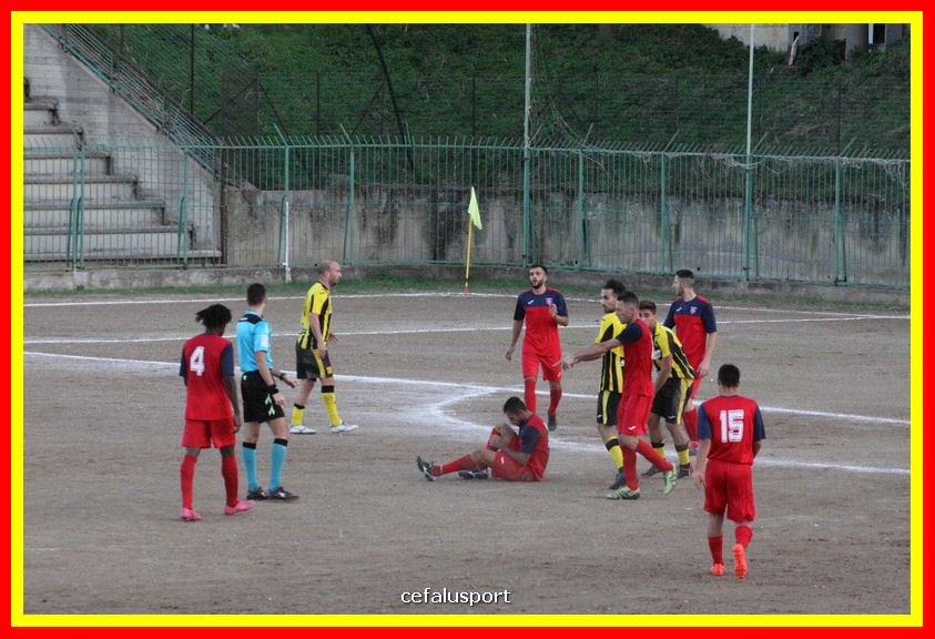 181111 Cepha_Milazzo 280_tn.JPG